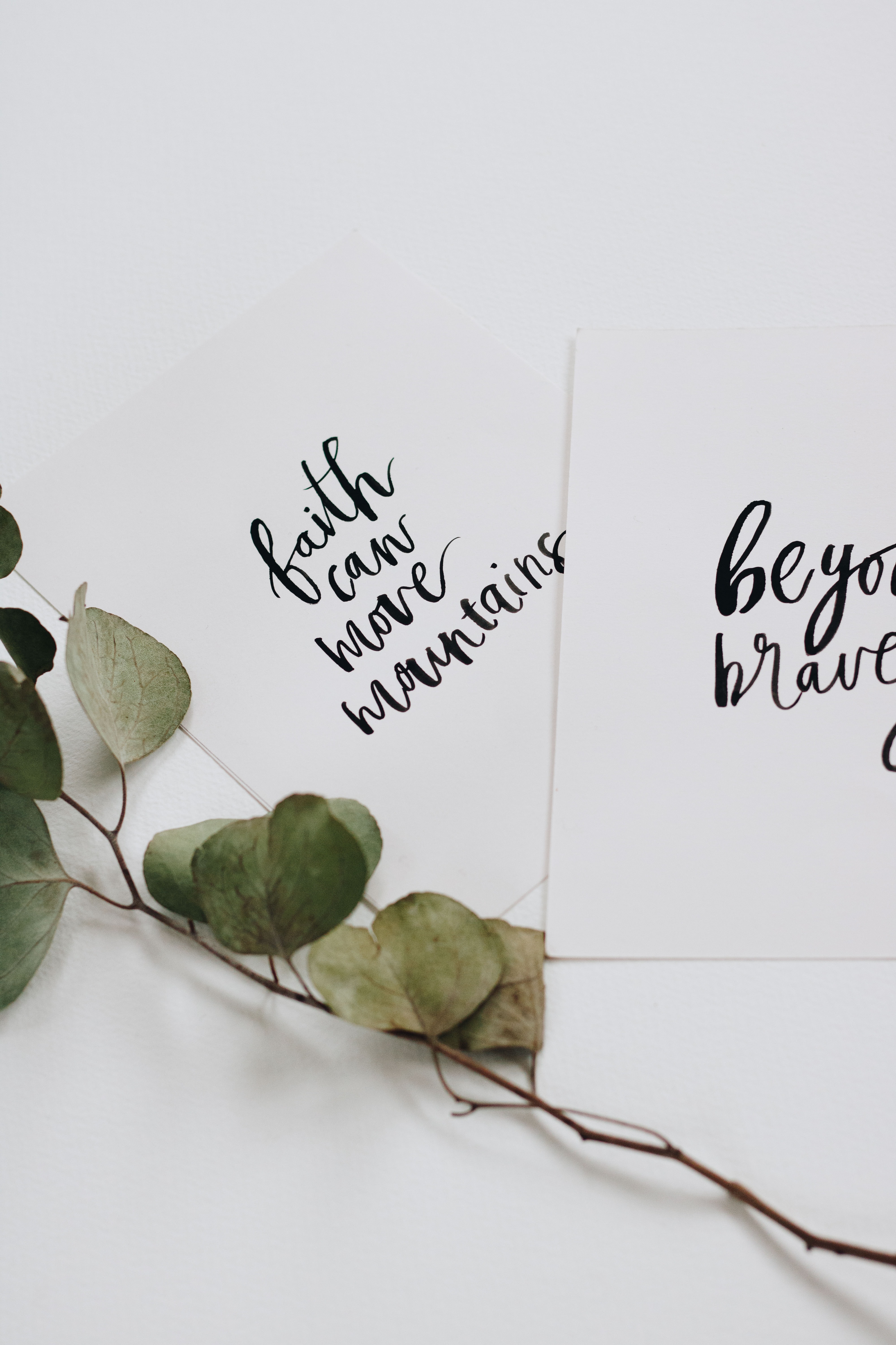 lettering cards with branch of leaves